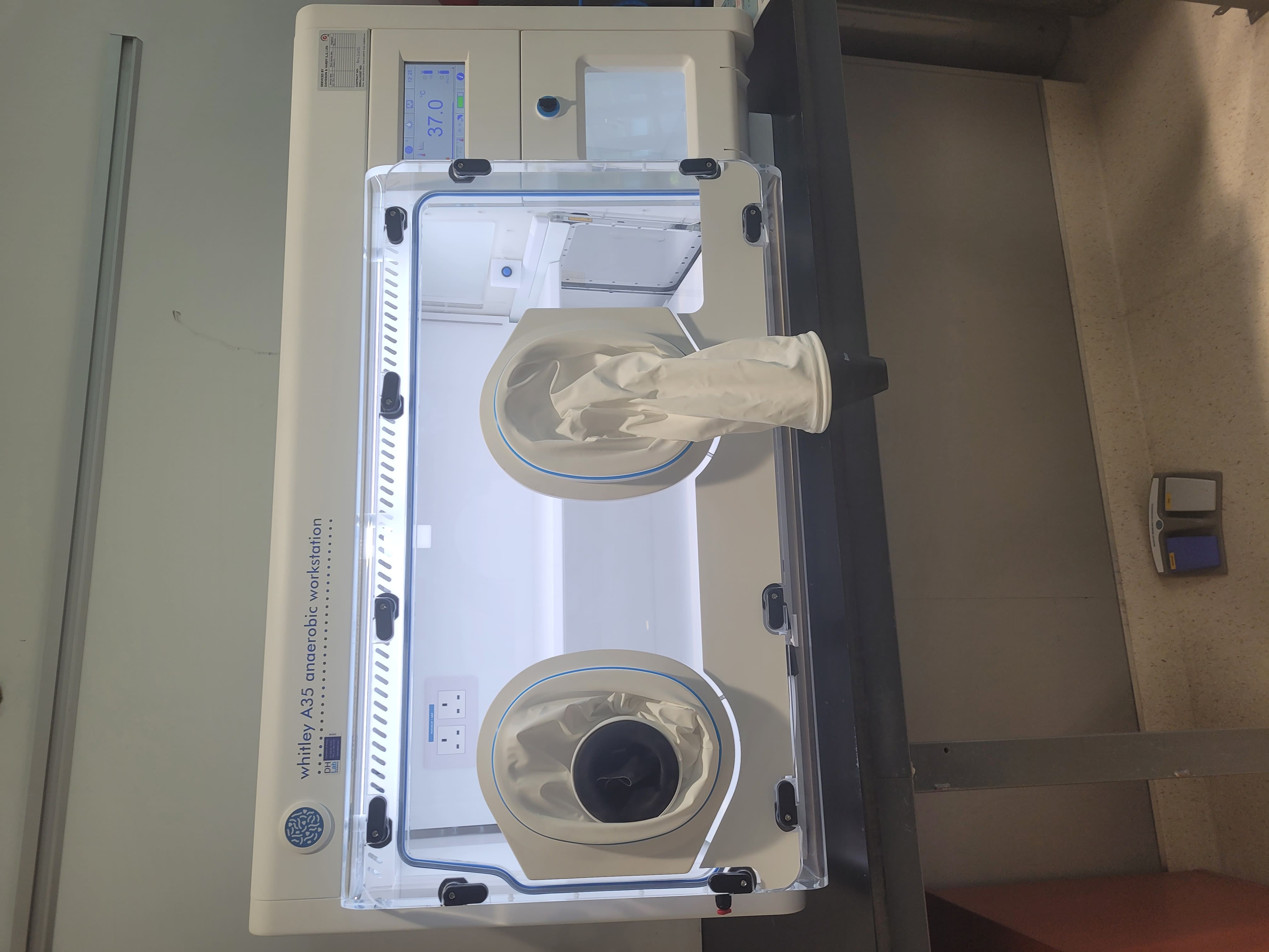 Anaerobic Chamber [Ariel]